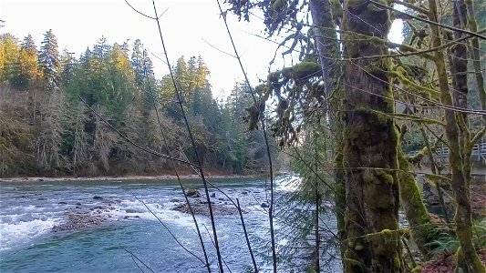 Sauk River near confluence with Clear Creek, Mt. Baker-Snoqualmie National Forest. Video by Anne Vassar December 3, 2020.