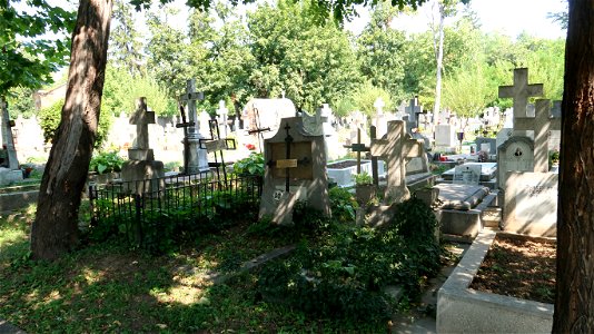 Bellu_cemetery (34) photo