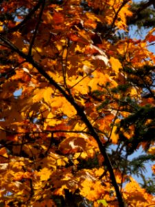 20210915-FS-Superior-SAR-004
