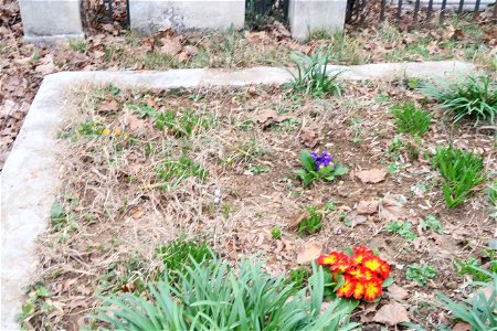 cimit_SfVineri2023_0225_133350