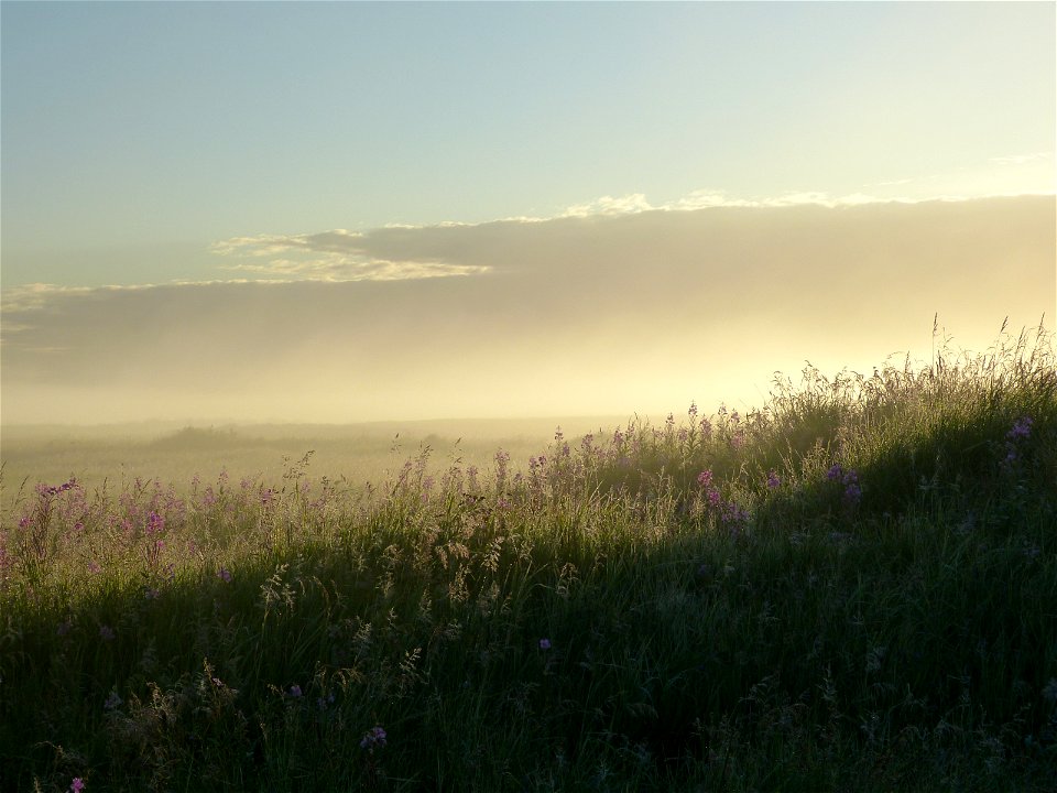 Morning mist photo
