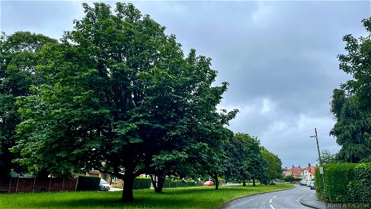 Grace Avenue