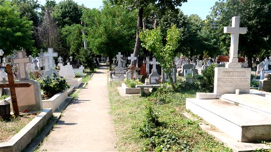Bellu_cemetery (42) photo