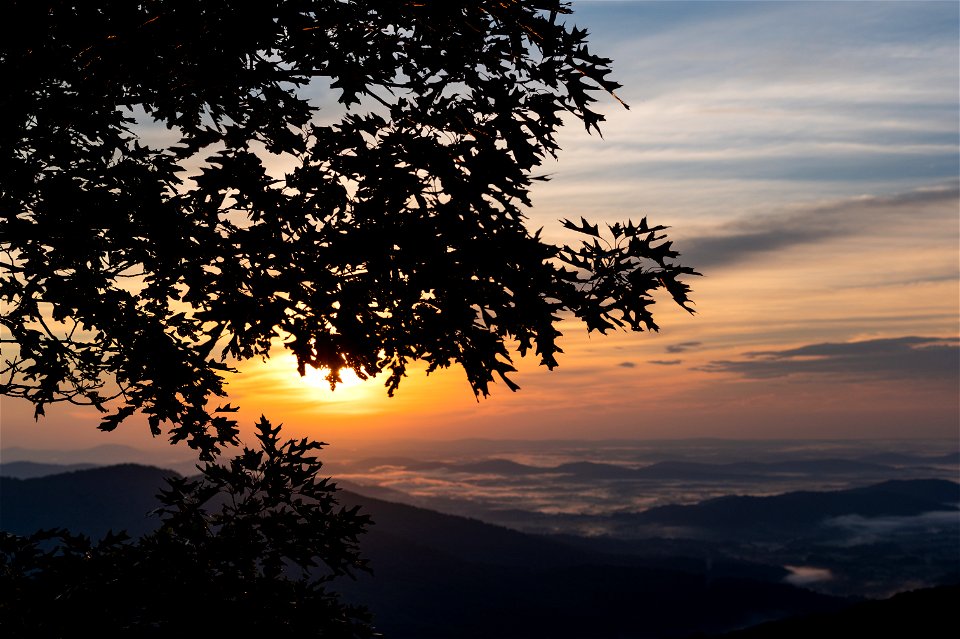 Sunrise Buck Hollow Overlook