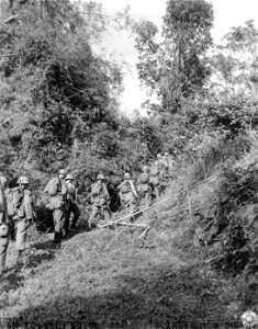 SC 271004 - Patrol from I Co., 126th Inf., 32nd Div. on the search for Japs. Cagayan Valley, Luzon, P.I. 13 July, 1945.