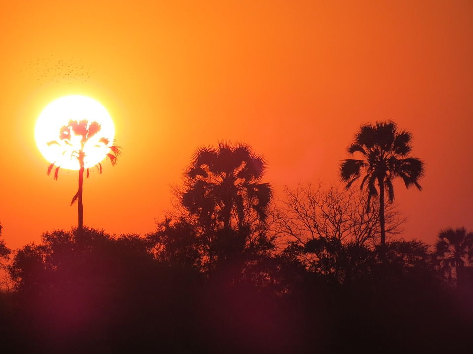 Landscape sunset sun