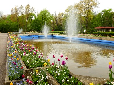 Herestrau Park in spring (128)