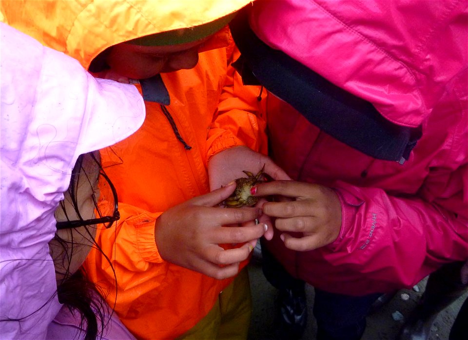 2015_Togiak_SC_CapePierce (9)