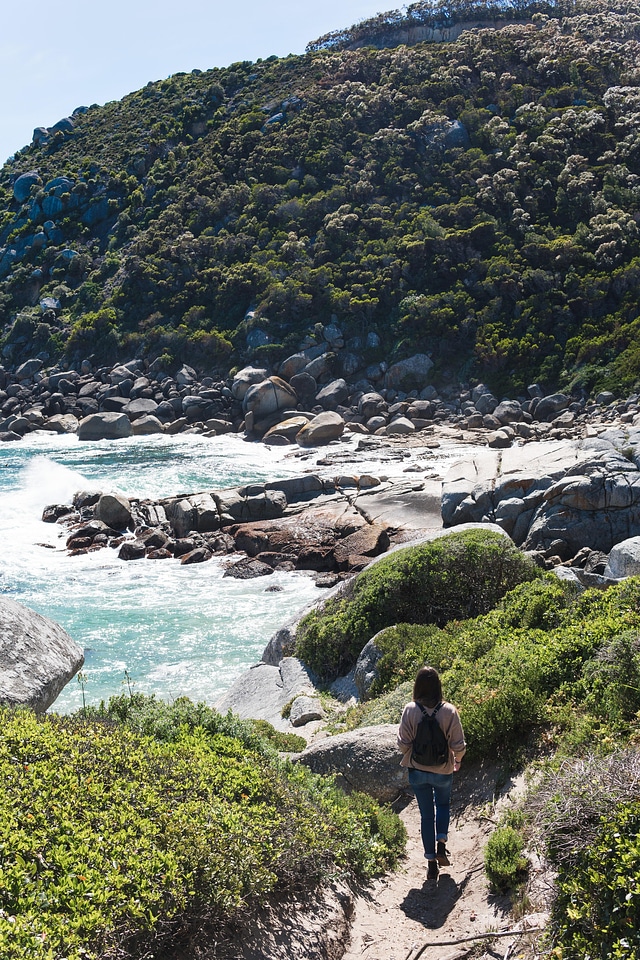 Landscape nature ocean