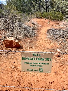 Cathedral Rock trailwork March 2023 photo