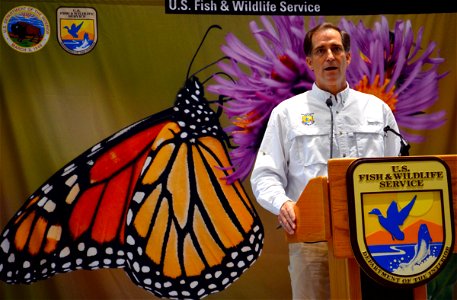 Director Dan Ashe Discusses Monarch Conservation photo