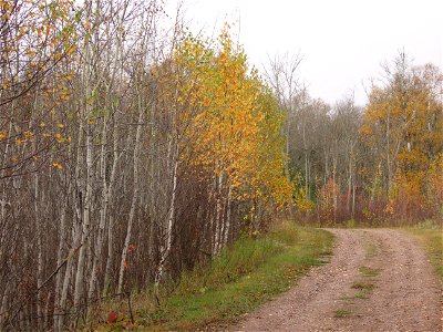 20211012-FS-Superior-SAR-001