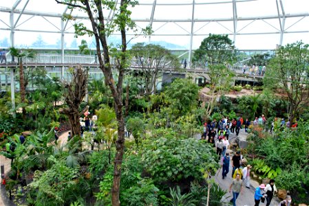 Suncheonman Bay National Garden Expo