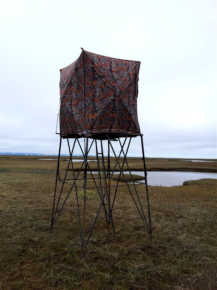 Observation Tower