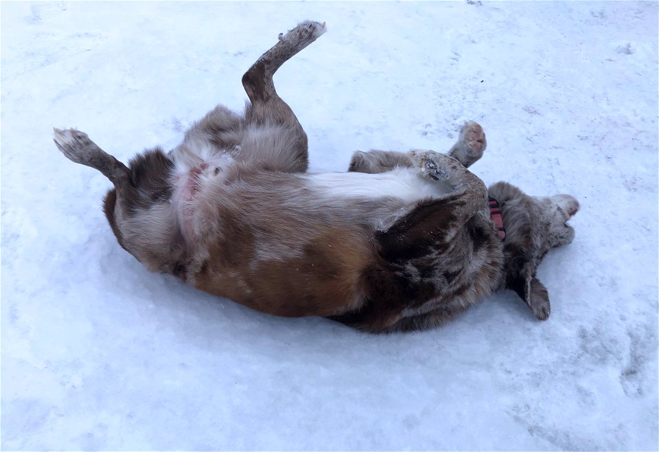 Take Note of the Inverted Stretch