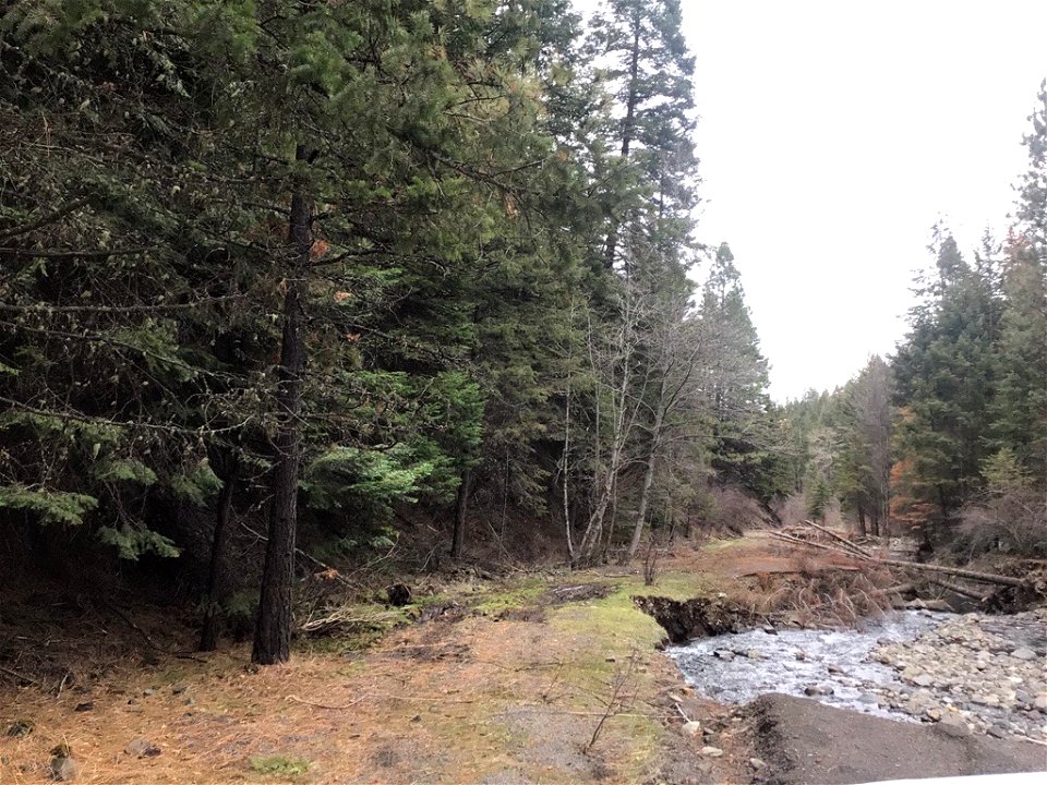 Forest Service Road 54 before repair