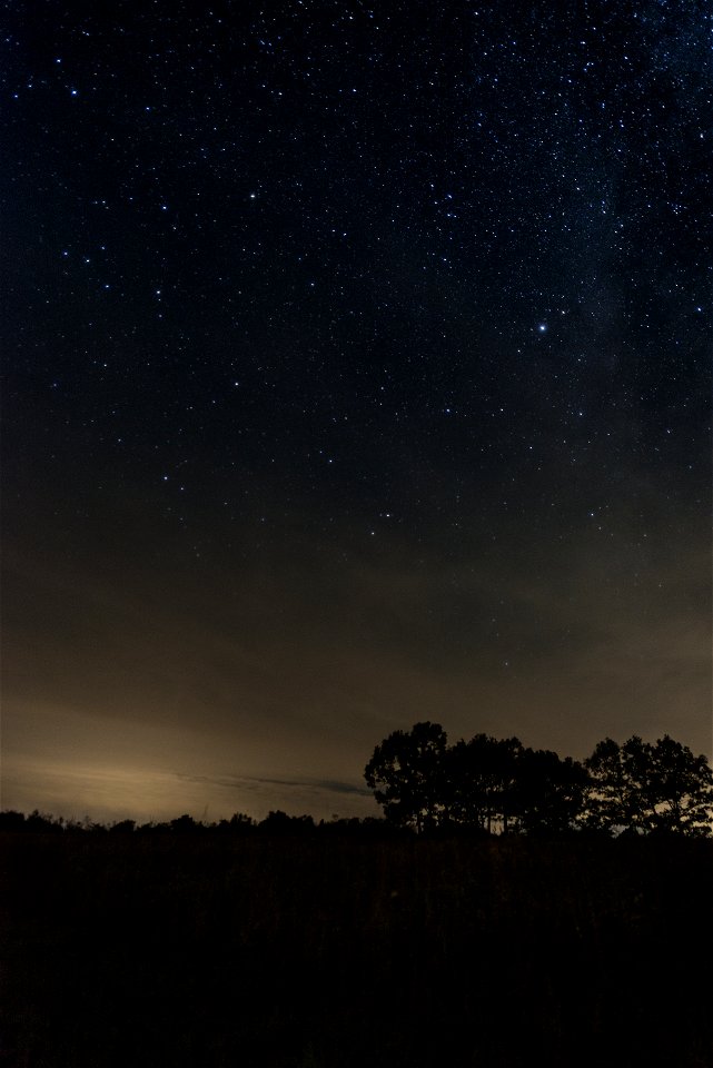 Stars in the Night Sky at Big Meadows photo