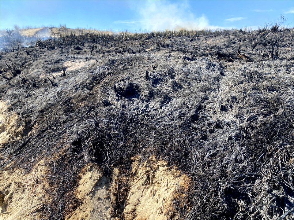 Siuslaw Oregon Dunes Prescribed Burn 2022