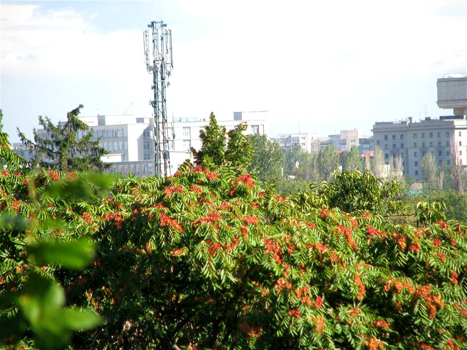 Panorama from panduri (83)