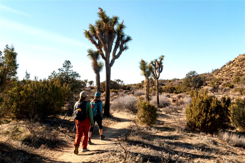 California Riding & Hiking Trail: Covington Region