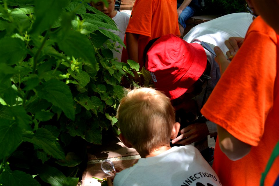 2022 Earth Connections Camp