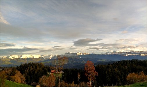 IMG_20221106_163058