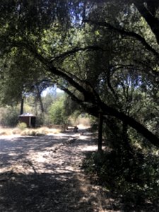 IMG_7040_DMNA_TrailheadRestroom_Tomich