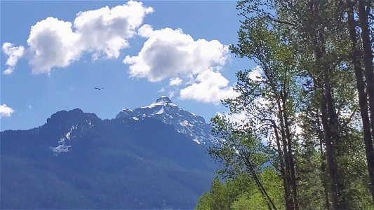 Beaver Lake Trail, Mt. Baker-Snoqualmie National Forest. Video by Sydney Corral May 25, 2021