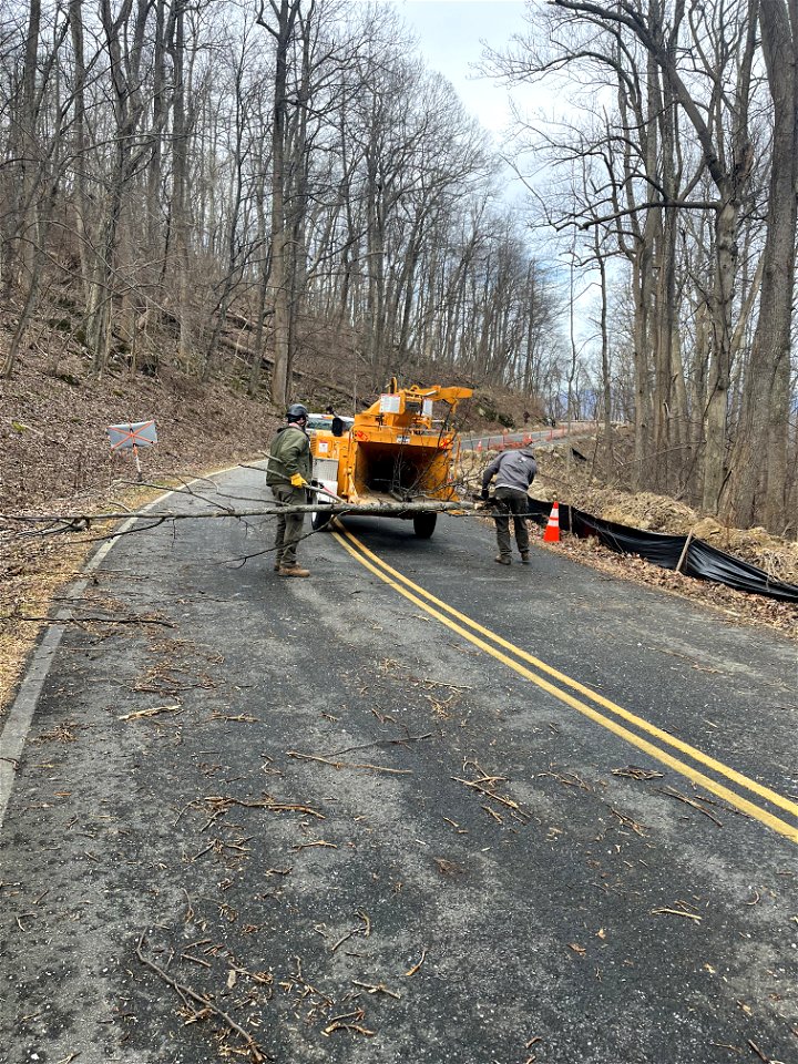 Ice Storm Cleanup