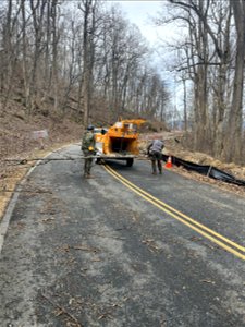 Ice Storm Cleanup