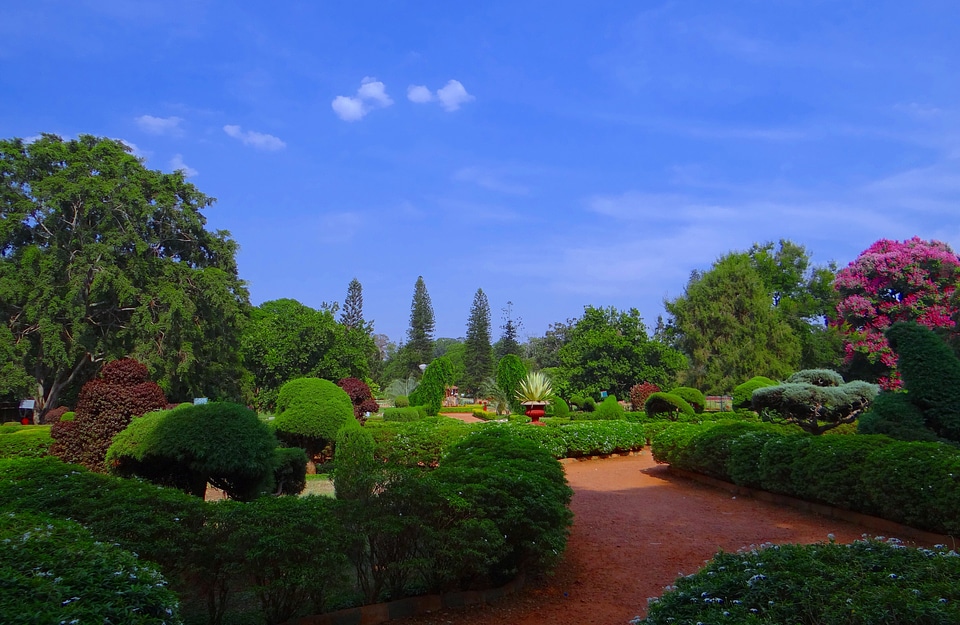 Garden greenery bangalore