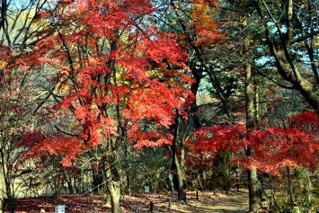 Songnisan Mountain Park photo