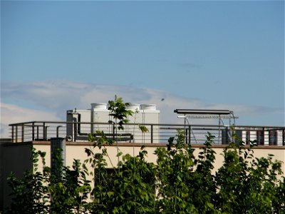 biserici Sfantul Elefterie (1)
