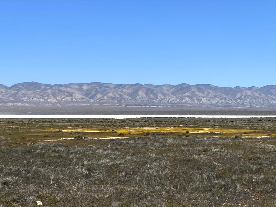 Carrizo Plain National Monument dry season