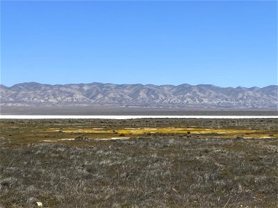 Carrizo Plain National Monument dry season photo