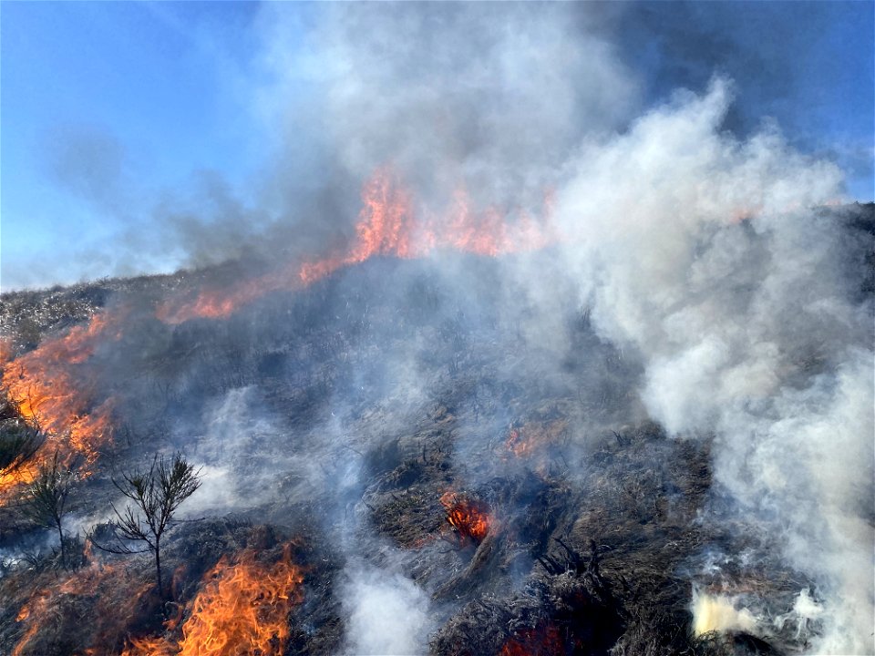 Siuslaw Oregon Dunes Prescribed Burn 2022 photo