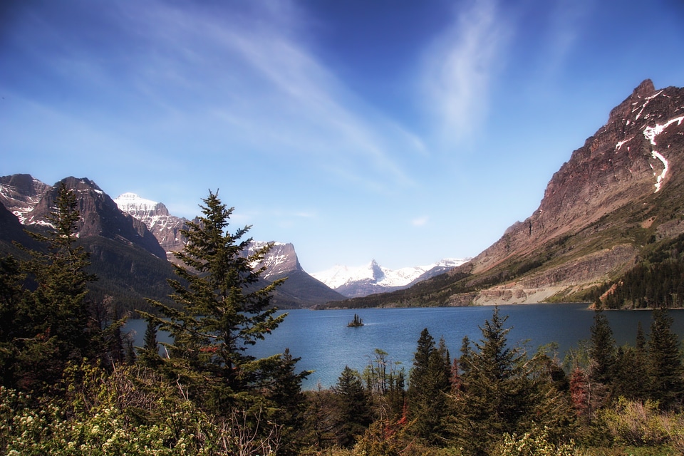 Lake water forest