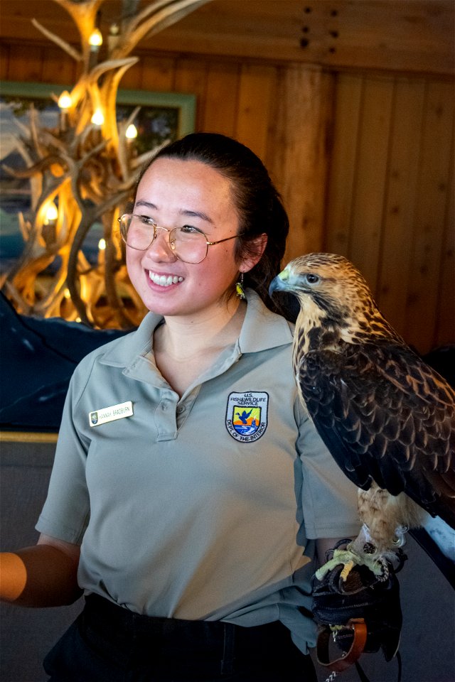 Refuge Educator with a Juvenile Swainson's Hawk