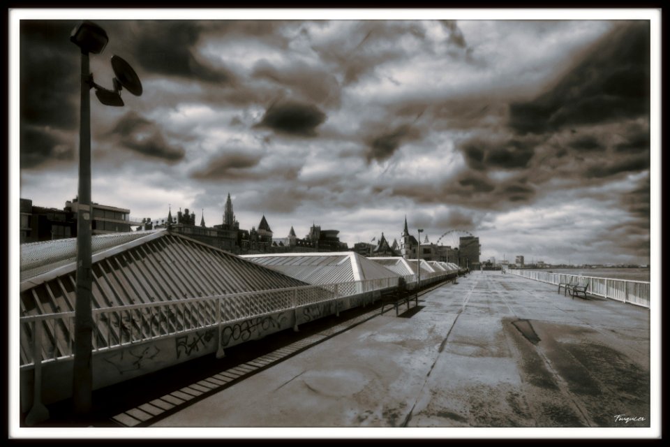 The Northern Terrace along the river Scheldt photo