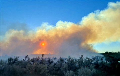 Black Knoll Fire
