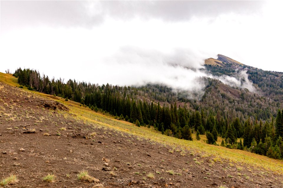 Hoodoo Peak in clouds from Parker Pass