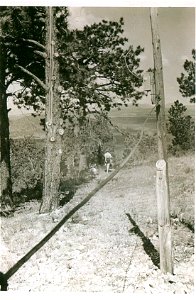 Historic Slate Mountain Lookout photo