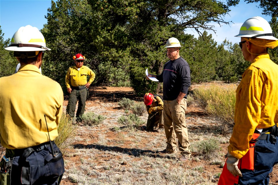 New Mexico Fuels Project