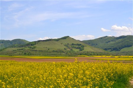 From the field photo