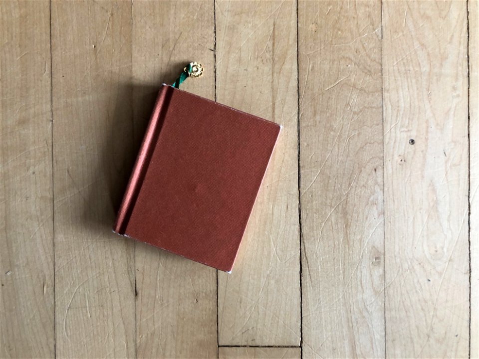2023/365/73 One of the Cats Was Pulling Little Books from the Shelf