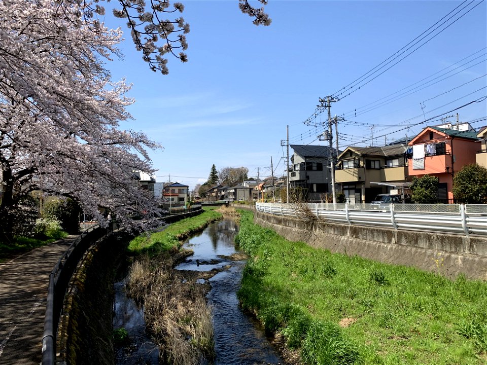 Kurome River in Saiwaicho, Higashikurume-shi