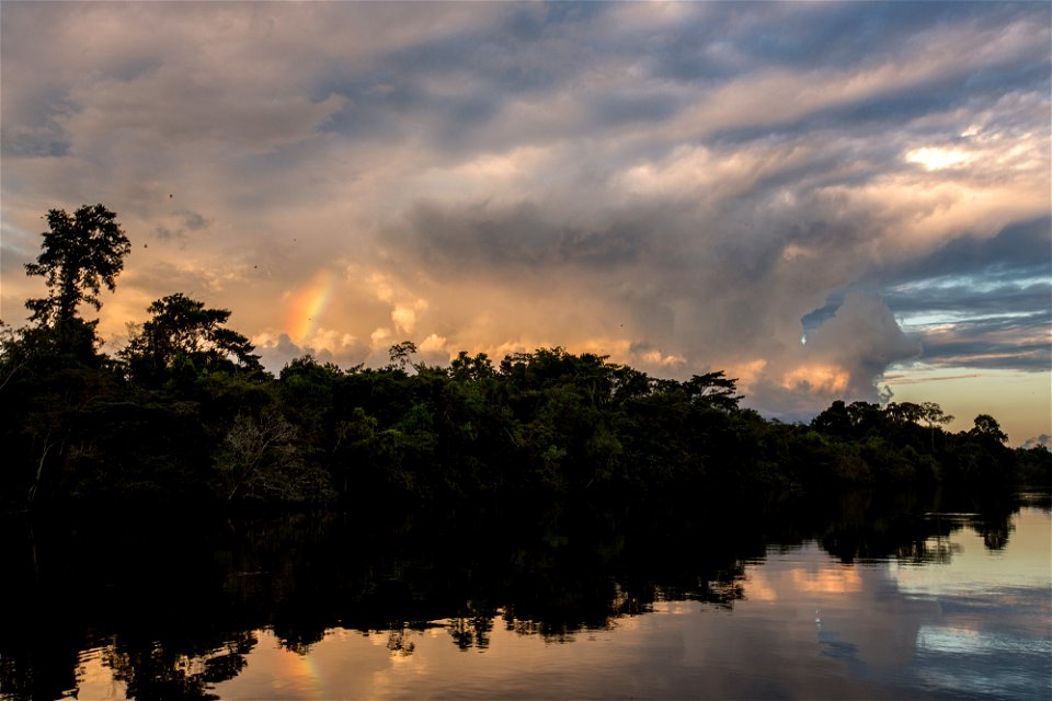 ConservationAmazonPeru-FS-002