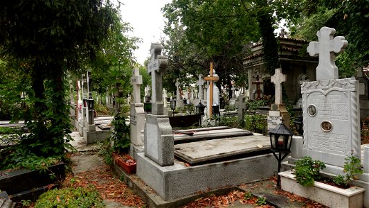 DSC06605