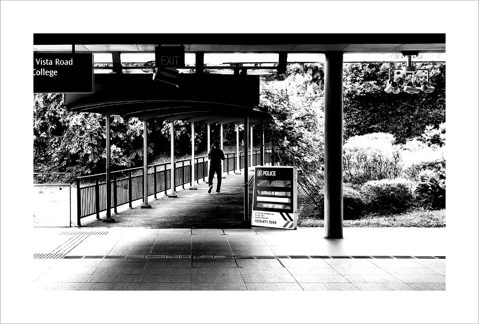 Shelter