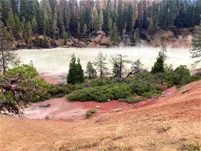 2021 BLM Fire Employee Photo Contest Category: ESR and BAER